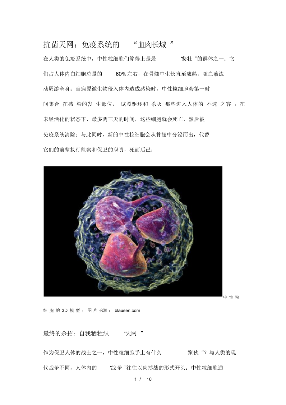 2021年抗菌天网-中性粒细胞_第1页