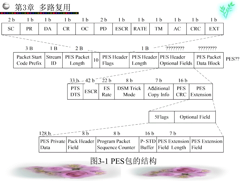 数字电视教学课件第3章_第3页