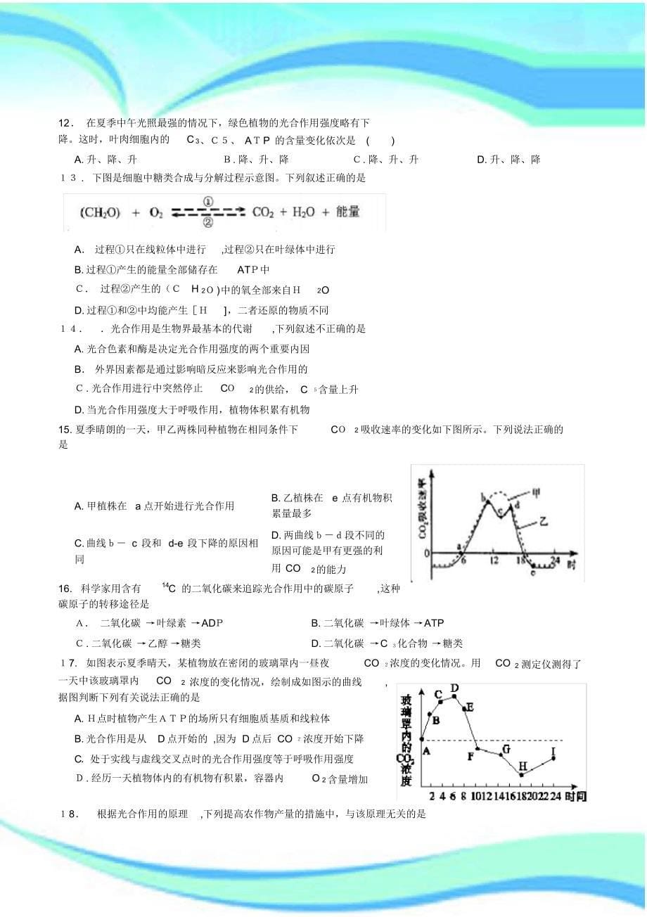 光合作用专题练习-11页_第5页