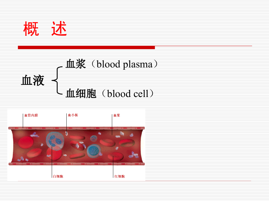 人体解剖生理学：第五章 血液的组成和功能_第3页