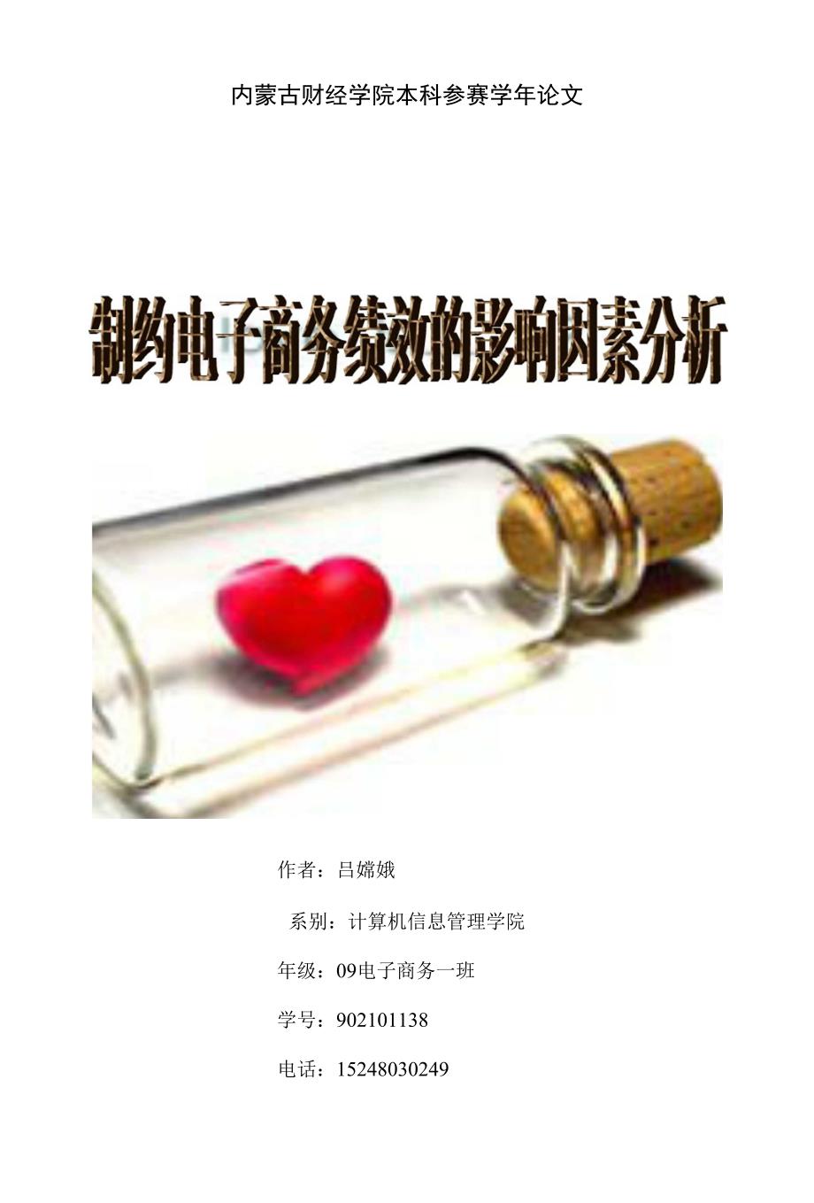 《论文_参赛论文制约电子商务绩效的影响因素分析 1(定稿)》_第1页