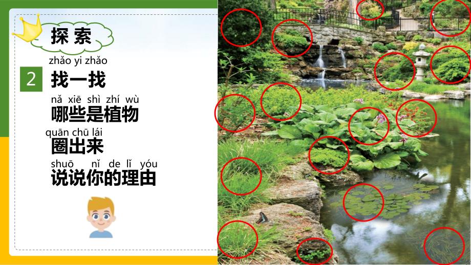 教科版科学一年级上册 1.1我们知道的植物 课件_第4页