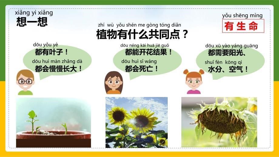 教科版科学一年级上册 1.1我们知道的植物 课件_第5页