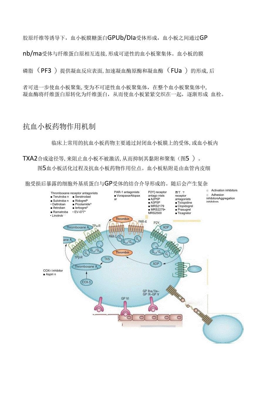 心脑血管的清洁工——抗血小板药物综述_图文文库_第5页