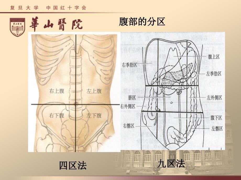 外科学课件：急 腹 症_第5页