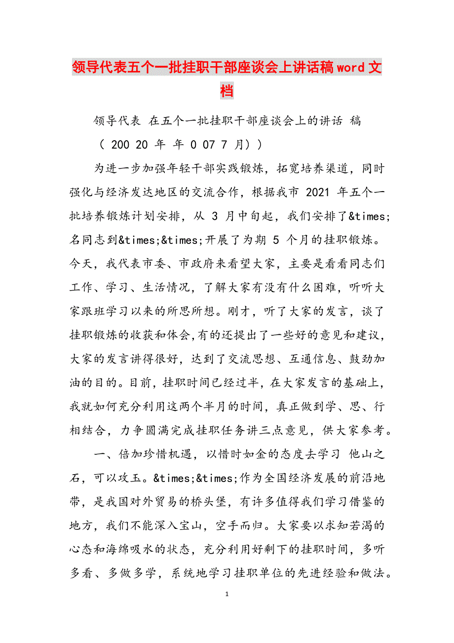 领导代表五个一批挂职干部座谈会上讲话稿word文档范文_第1页