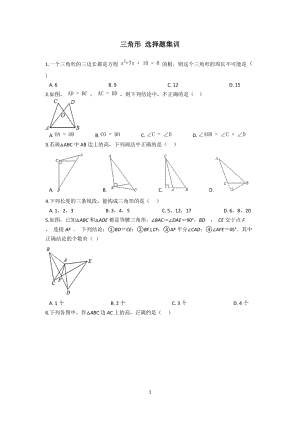 数学 人教版 八上 第十一章 三角形 选择题训练