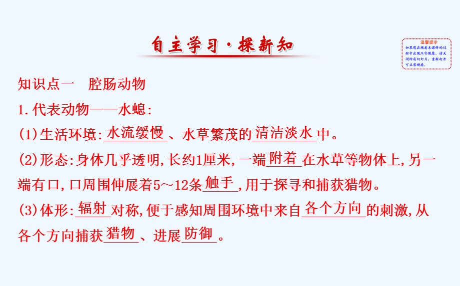 八年级生物上册探究导学课型腔肠动物和扁形动物课件新版新人教版_第2页