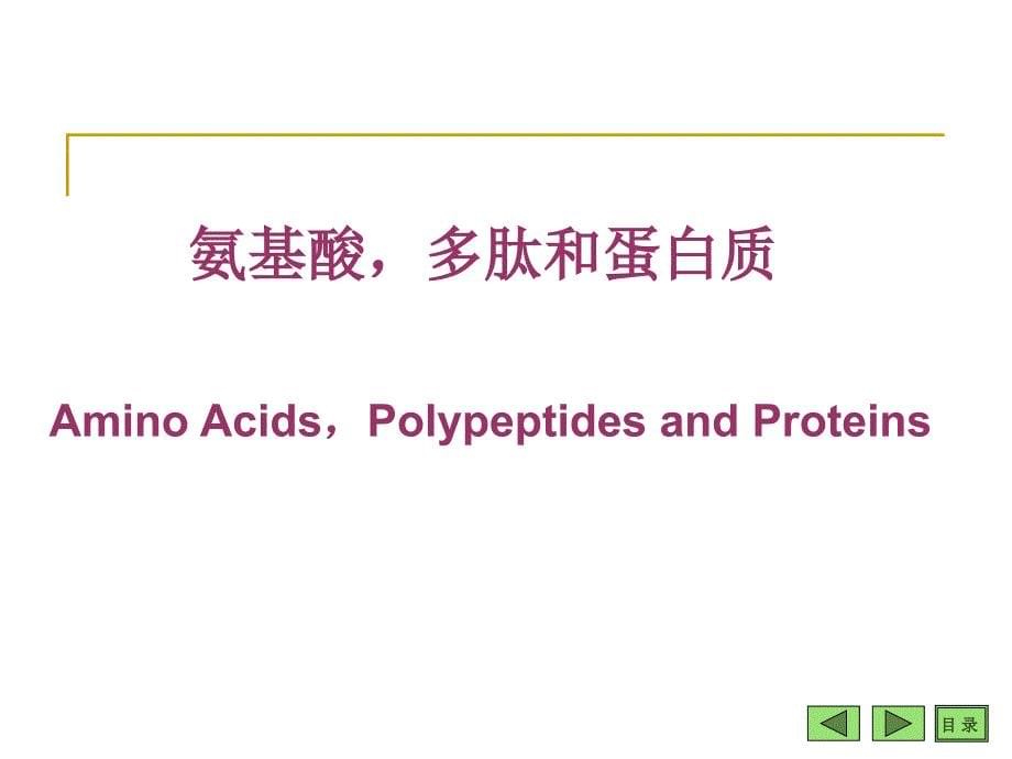 生物化学：01 氨基酸_第5页