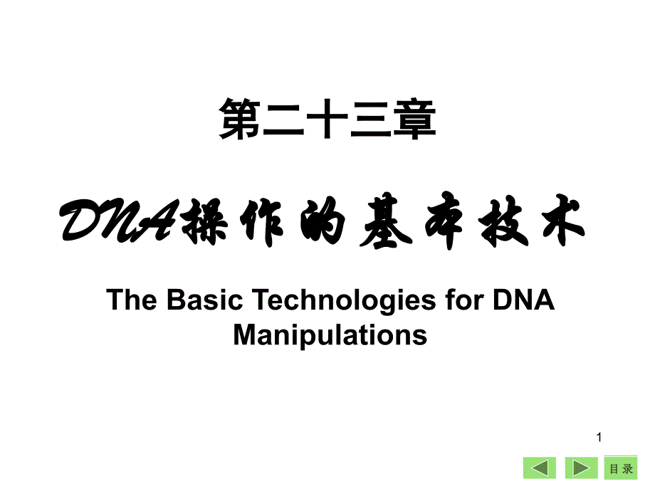 生物化学课件：第23章 DNA操作的基本技术_第1页