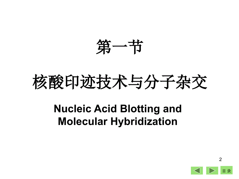 生物化学课件：第23章 DNA操作的基本技术_第2页