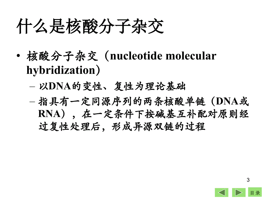 生物化学课件：第23章 DNA操作的基本技术_第3页