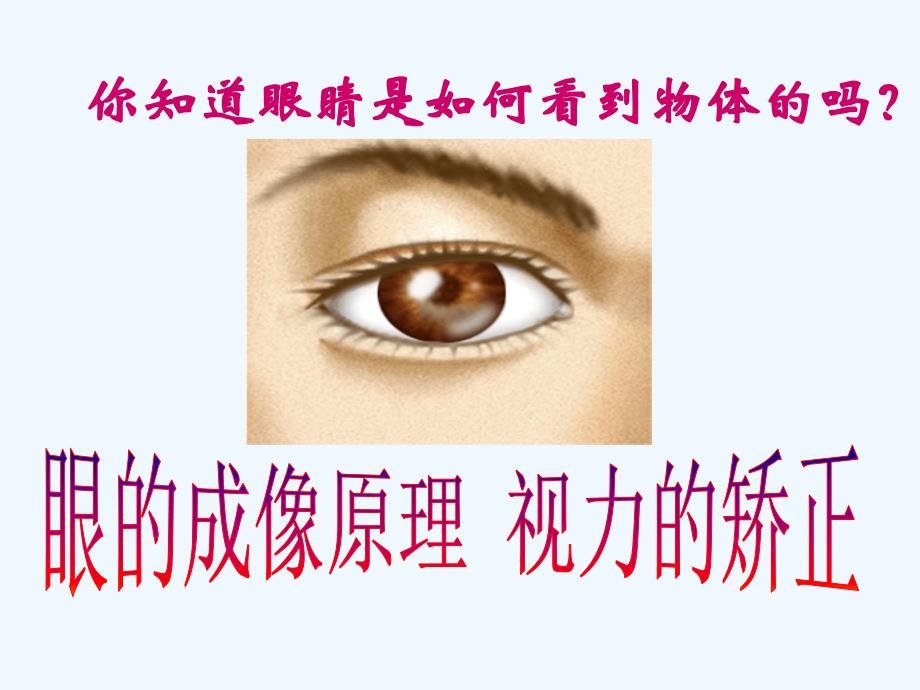《眼的成像原理视力的矫正》课件1_第1页