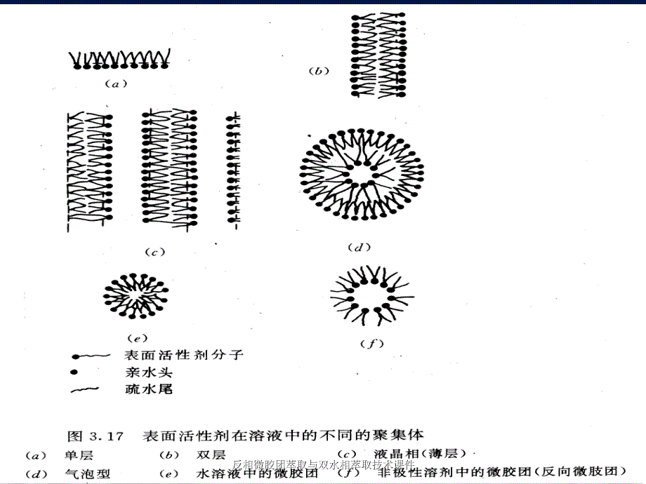 反相微胶团萃取与双水相萃取技术课件_第4页