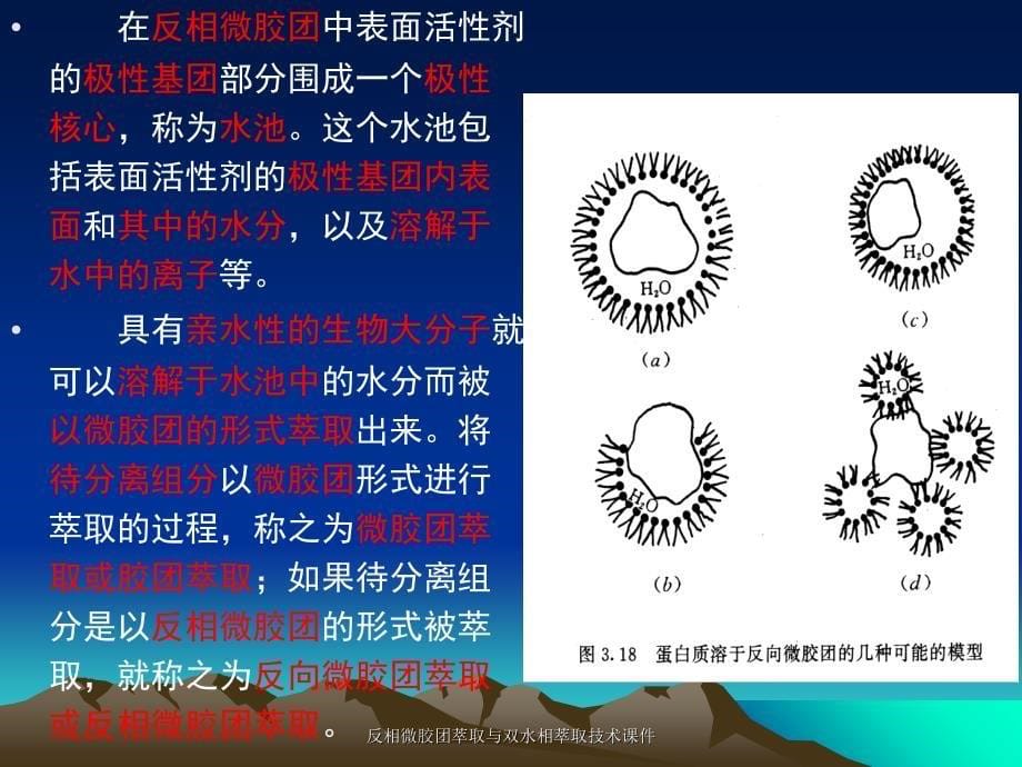 反相微胶团萃取与双水相萃取技术课件_第5页