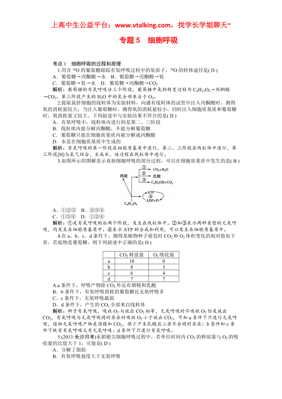 高中生物专题知识点总结 专题5　细胞呼吸_第1页