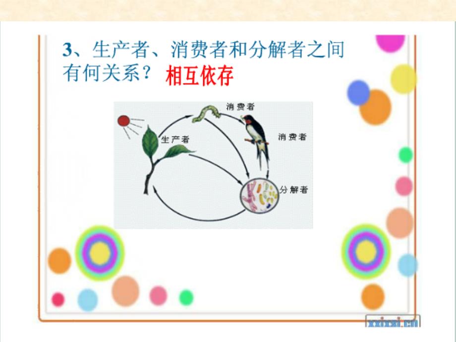 人教初中生物七年级上册《第1单元-第2章-第3节-生物圈是最大的生态系统》课件-(5)-_第4页