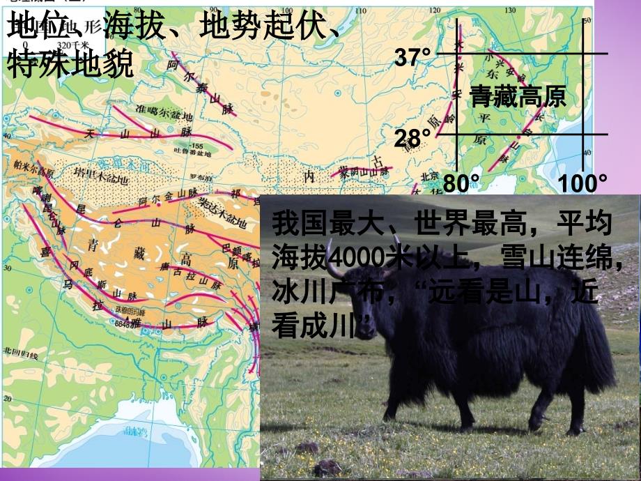 中学八年级地理上册(2.1 地形和地势)课件2 新人教版 课件_第2页