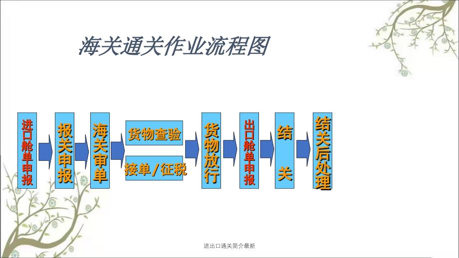 进出口通关简介最新课件_第4页