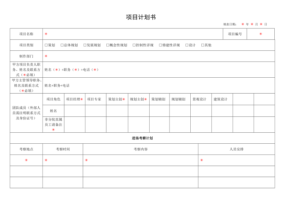 规划项目计划书模板_第1页