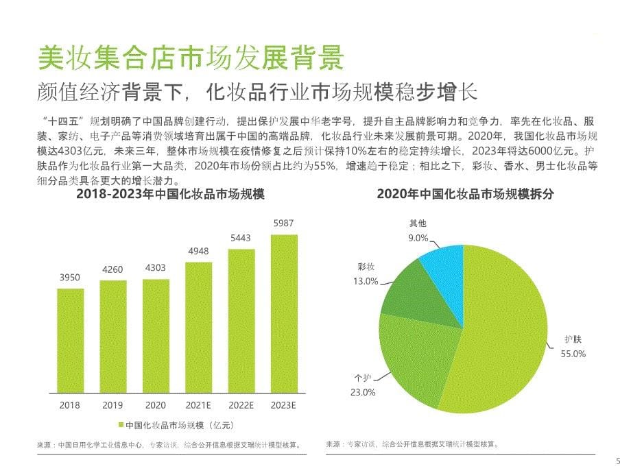 2021年中国美妆集合店行业研究报告_第5页