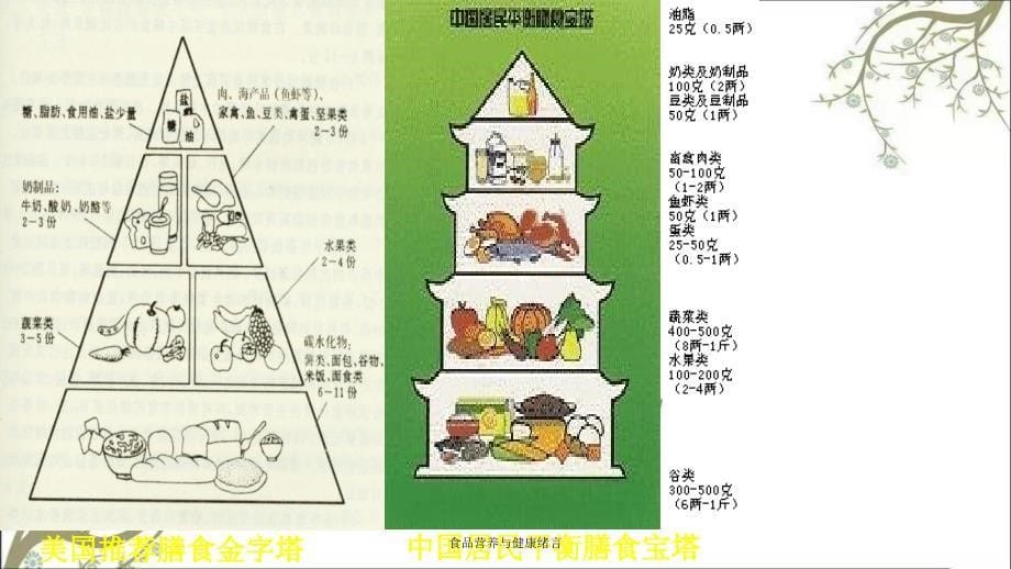 食品营养与健康绪言课件_第5页