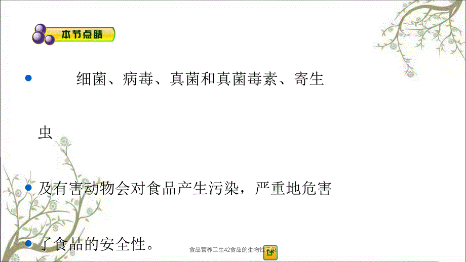 食品营养卫生42食品的生物性污染课件_第2页