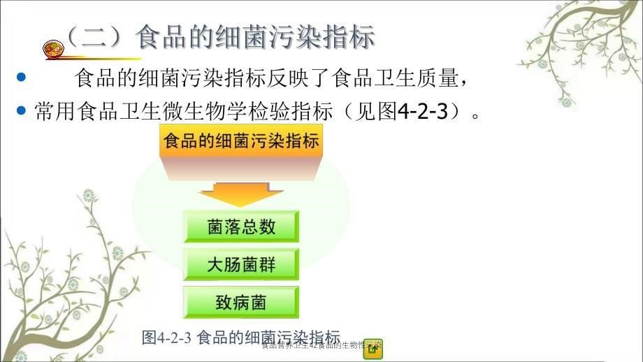 食品营养卫生42食品的生物性污染课件_第5页