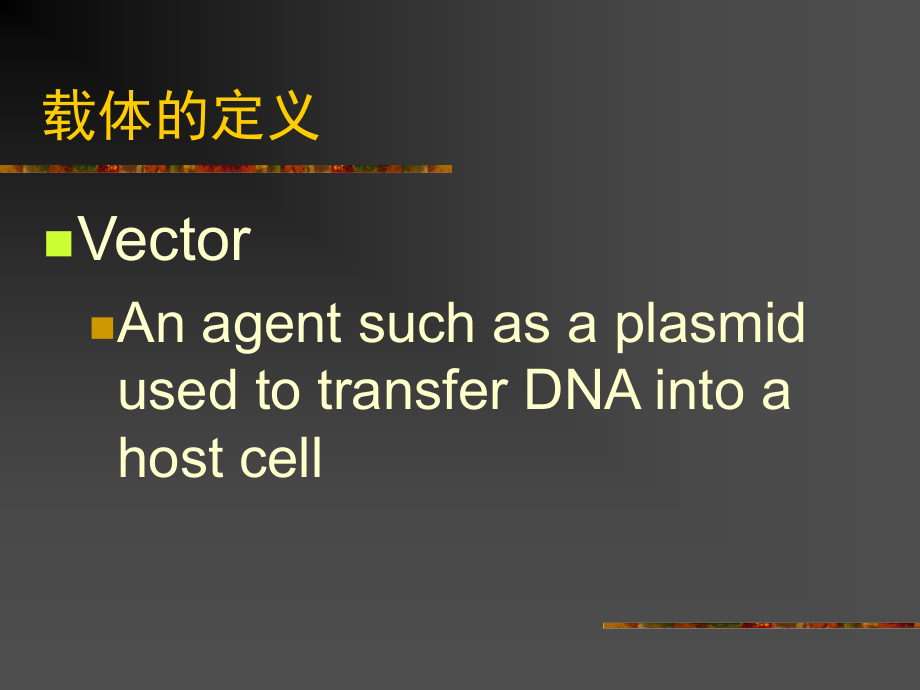 基因工程课件 4 第三章载体 1_第2页