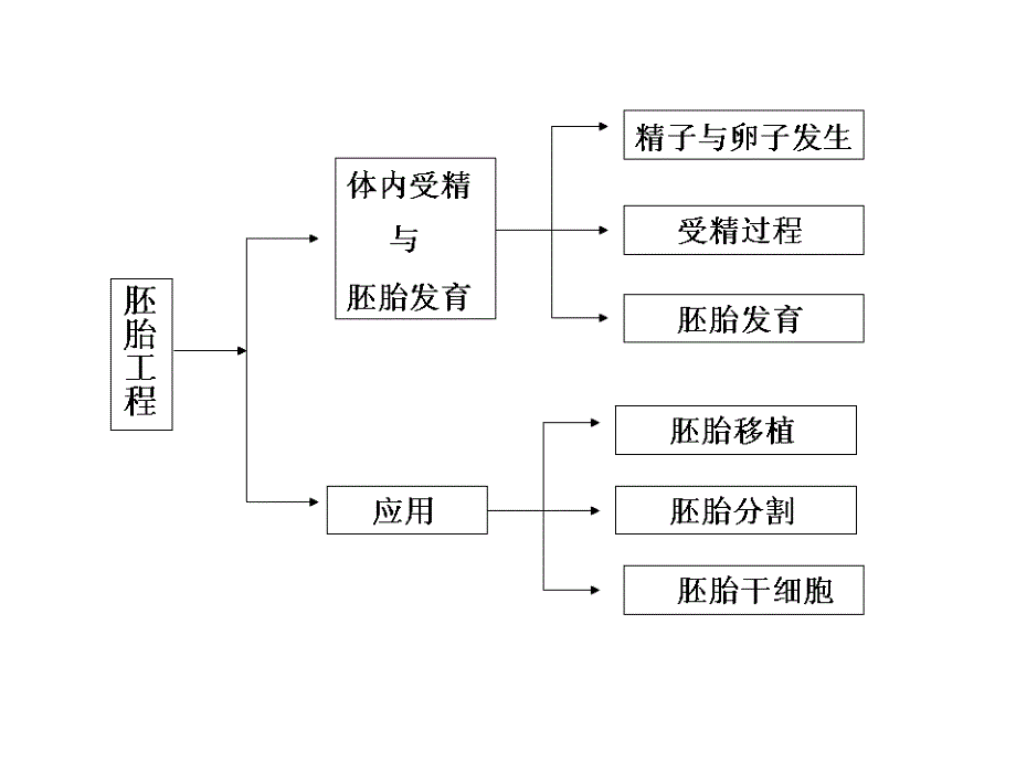 胚胎工程高三一复习参考课件_第2页