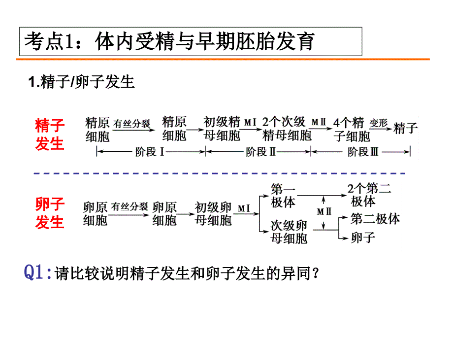 胚胎工程高三一复习参考课件_第3页