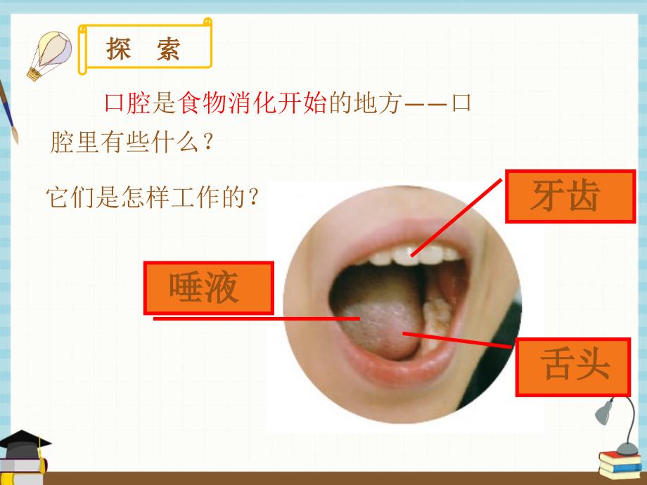 新教科版小学四年级上册科学 2.7 食物在口腔里的变化 课件_第4页