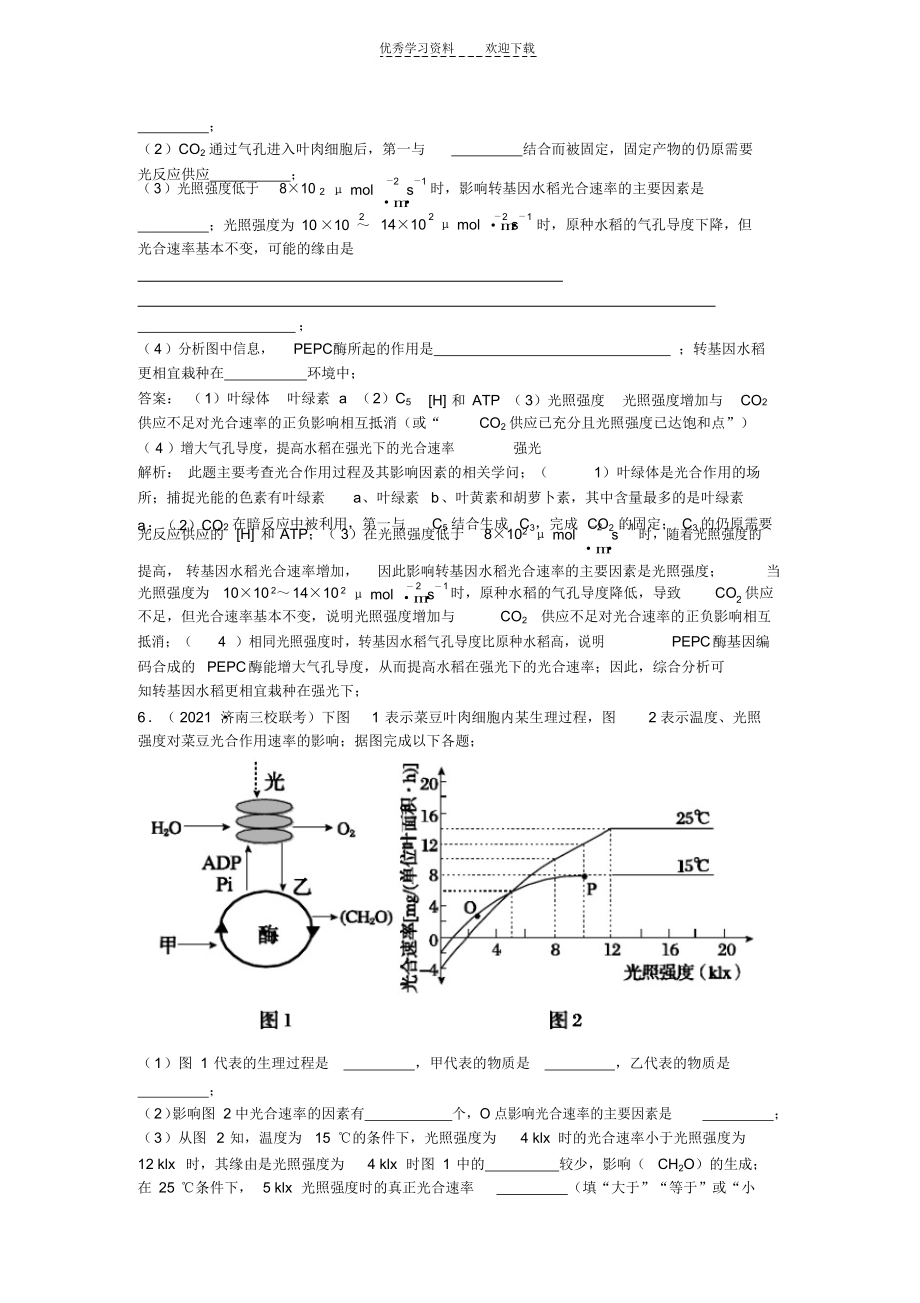 2021年二轮总复习提能专训光合作用和细胞呼吸_第4页