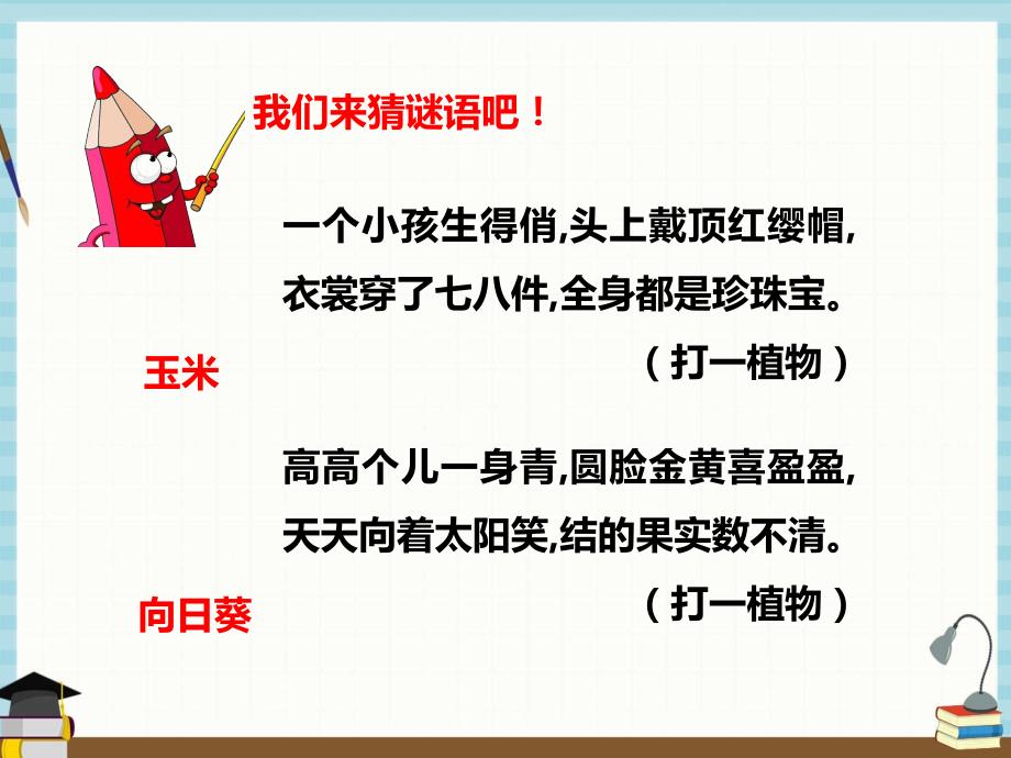 2021年春新教科版四年级下册科学1.1种子里孕育着新生命课件_第2页