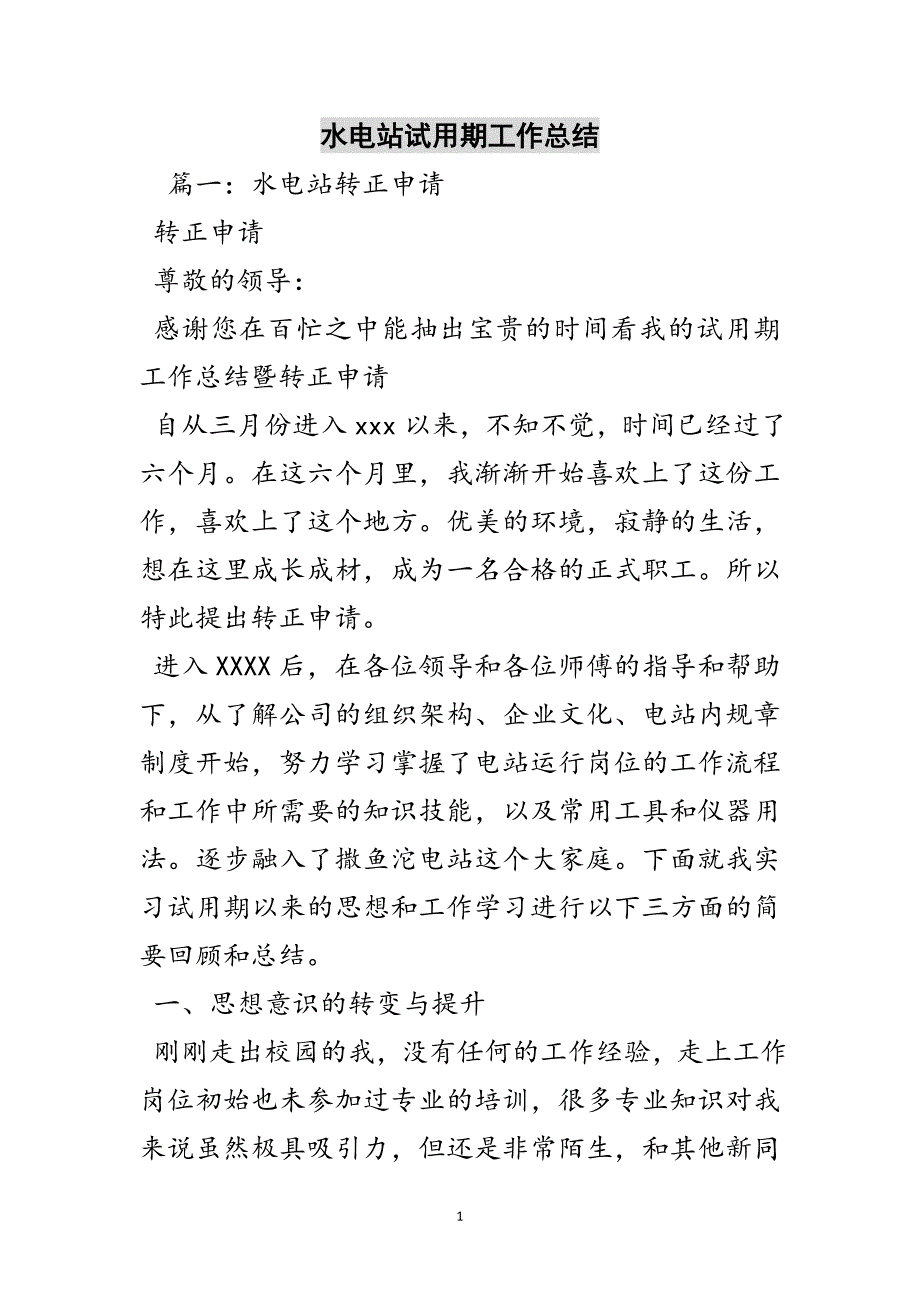 水电站试用期工作总结参考范文_第1页