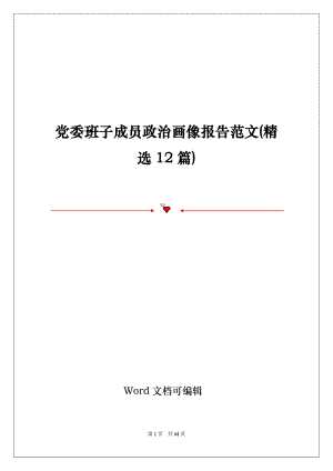 党委班子成员政治画像报告范文(精选12篇)
