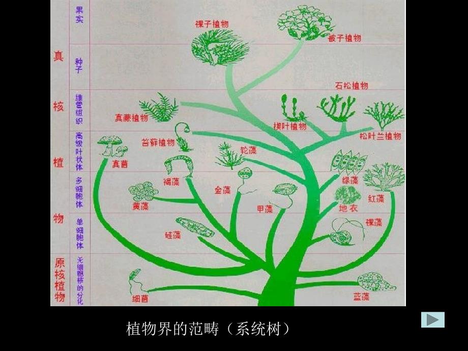 植物学：1绪论_第4页