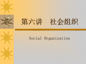 社会学课件 06社会组织