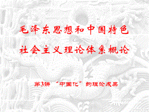 毛泽东思想和中国特色社会主义理论体系概论：第3讲 “中国化”的理论成果