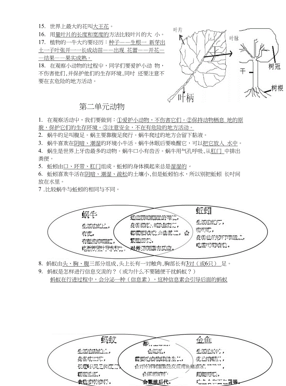 小学科学三上三下复习提纲 1_第3页