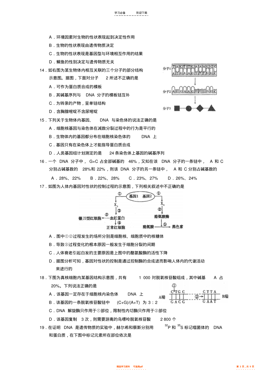 2021年高三生物专题练习【基因的本质和表达】必修二第三四章_第3页