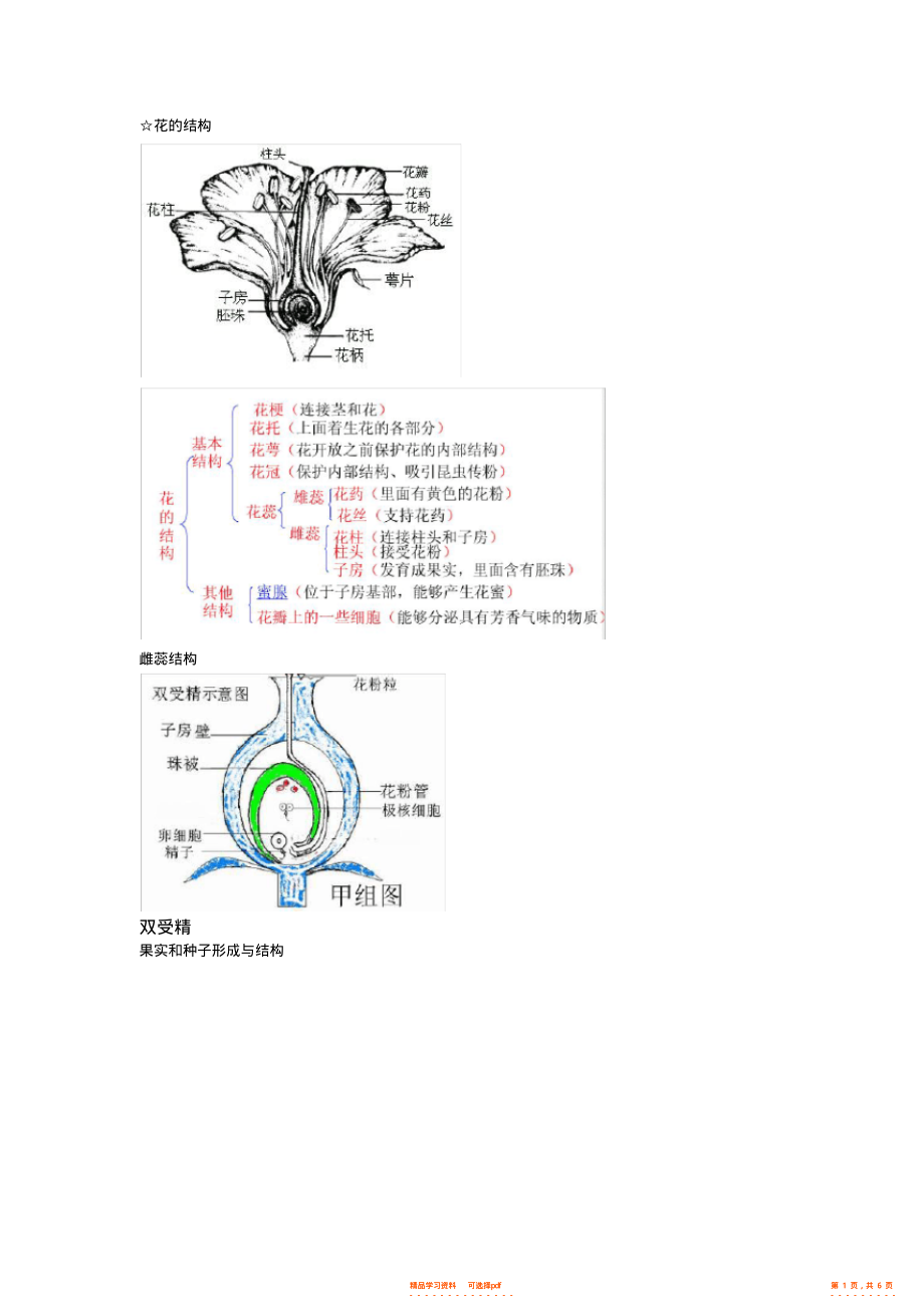 【总结】高中生物必修二第一章知识点总结,推荐文档_第1页