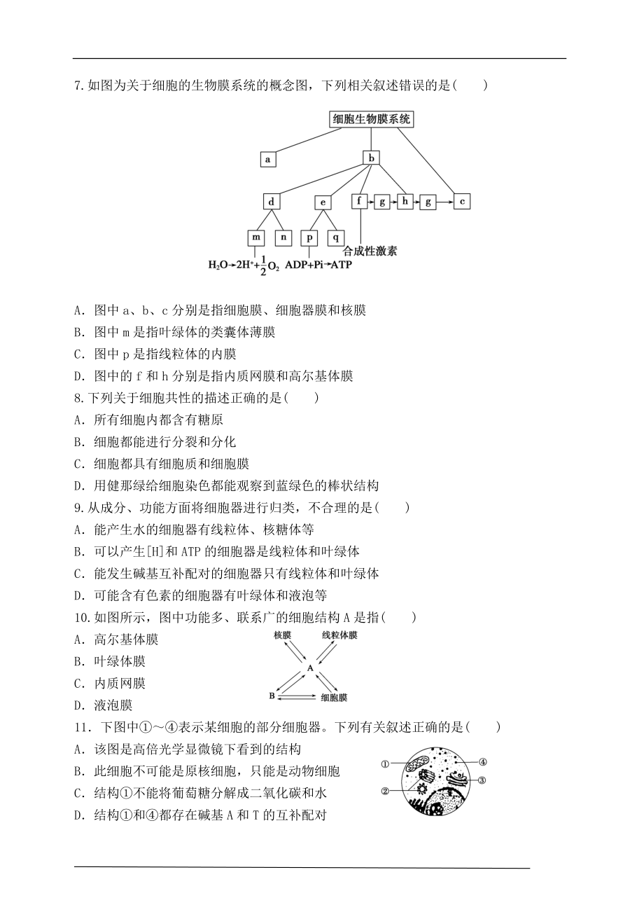 同步练习（含答案） 细胞器-系统内的分工合作（人教版必修一）_第2页