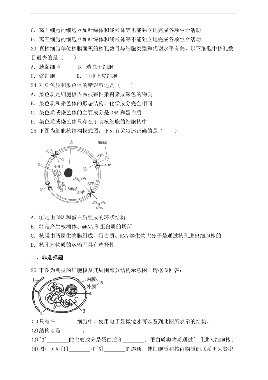 同步练习（含答案） 细胞核-系统控制中心（人教版必修一）_第4页