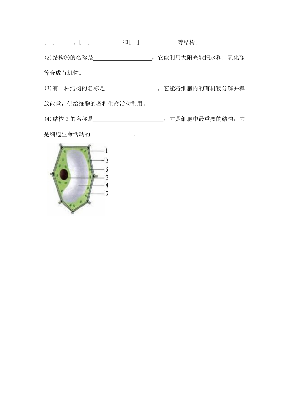 人教版七年级生物上册《2-1-4 细胞的生活》导学案设计初一优秀公开课_第4页