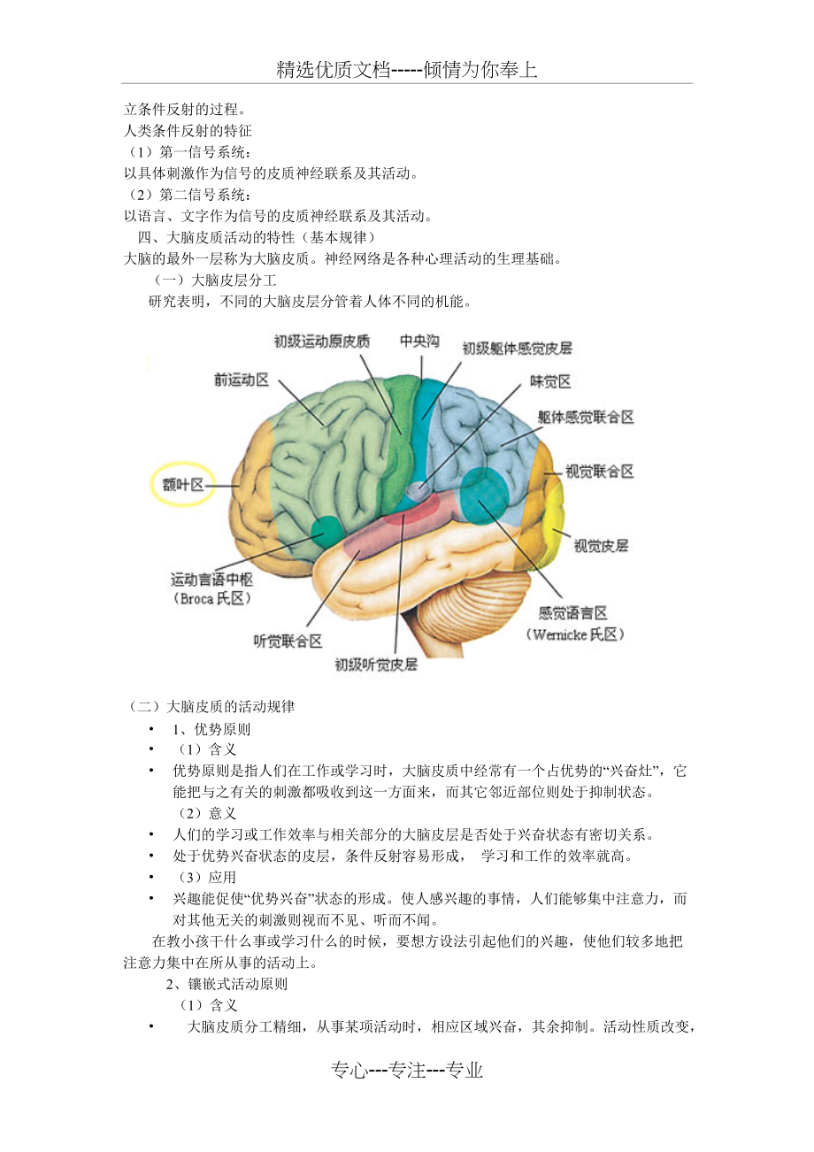 学前卫生学——-神经系统(共6页)_第2页