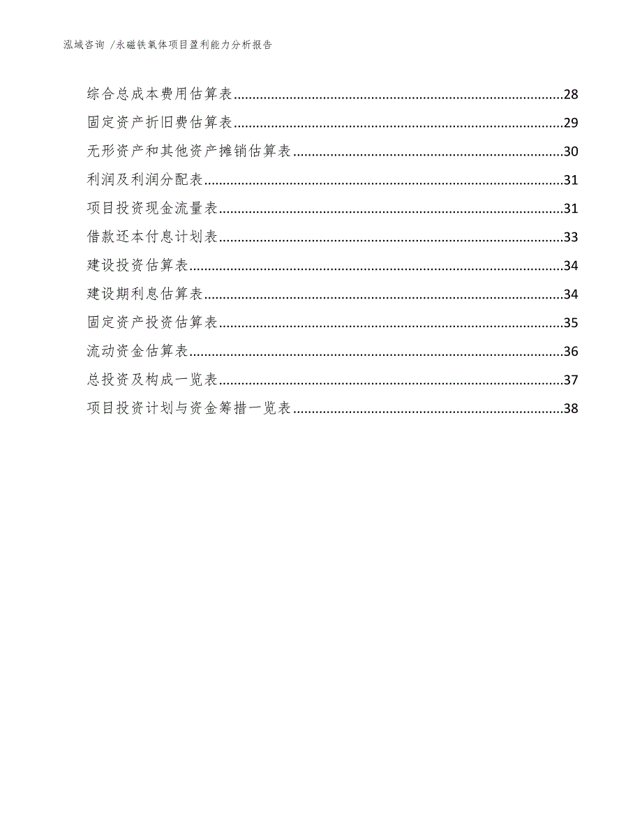 永磁铁氧体项目盈利能力分析报告（模板）_第3页