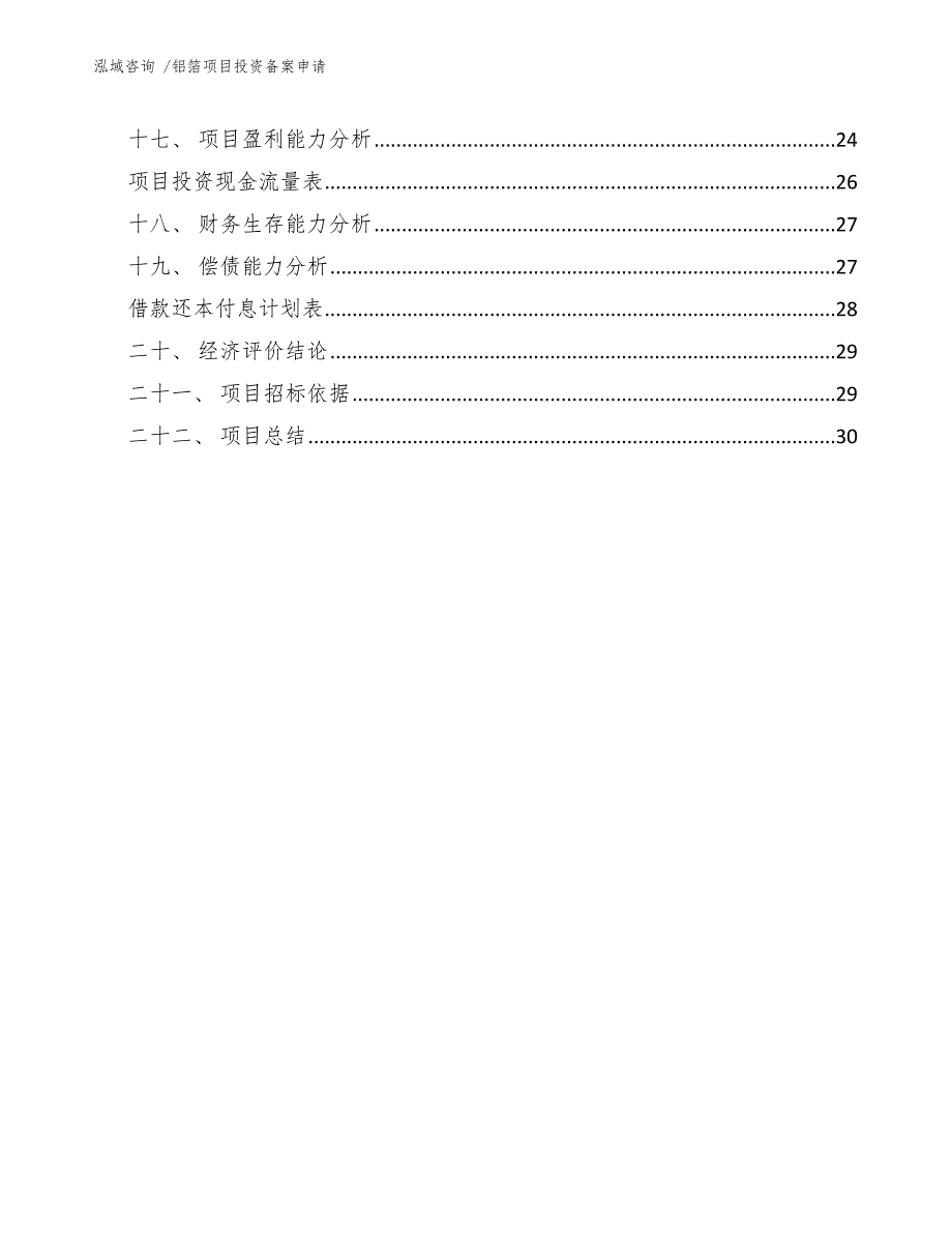 铝箔项目投资备案申请（参考模板）_第2页