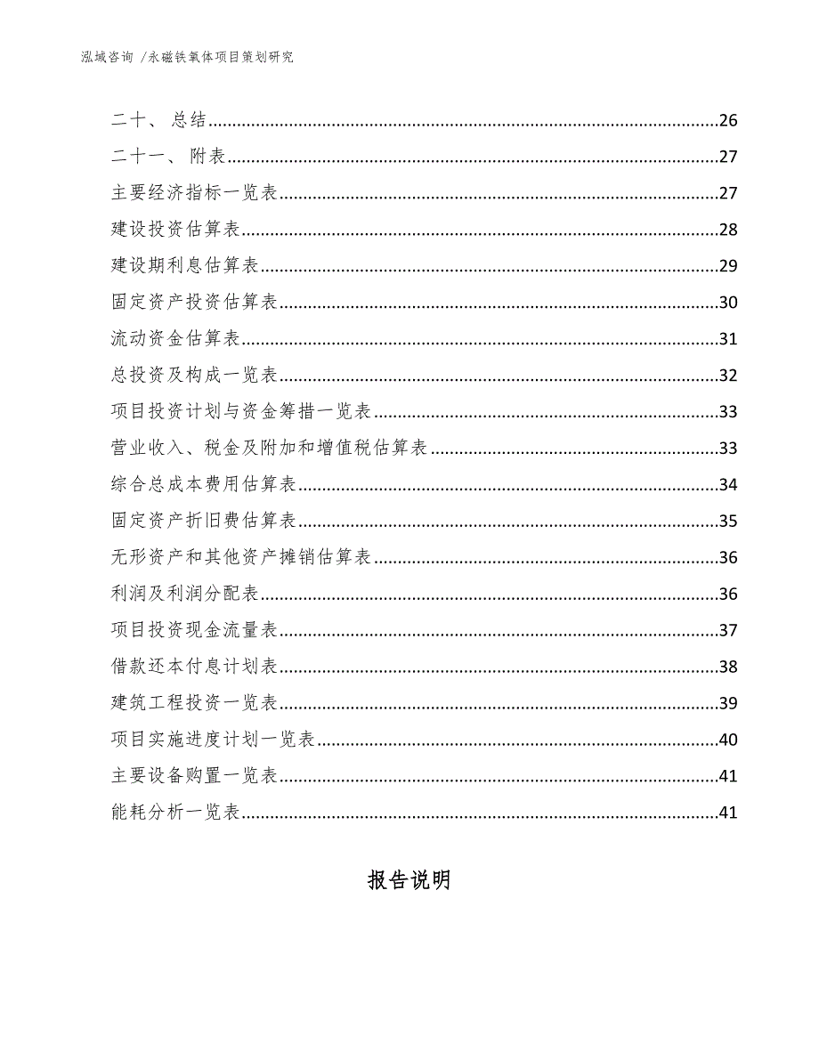 永磁铁氧体项目策划研究（范文）_第3页