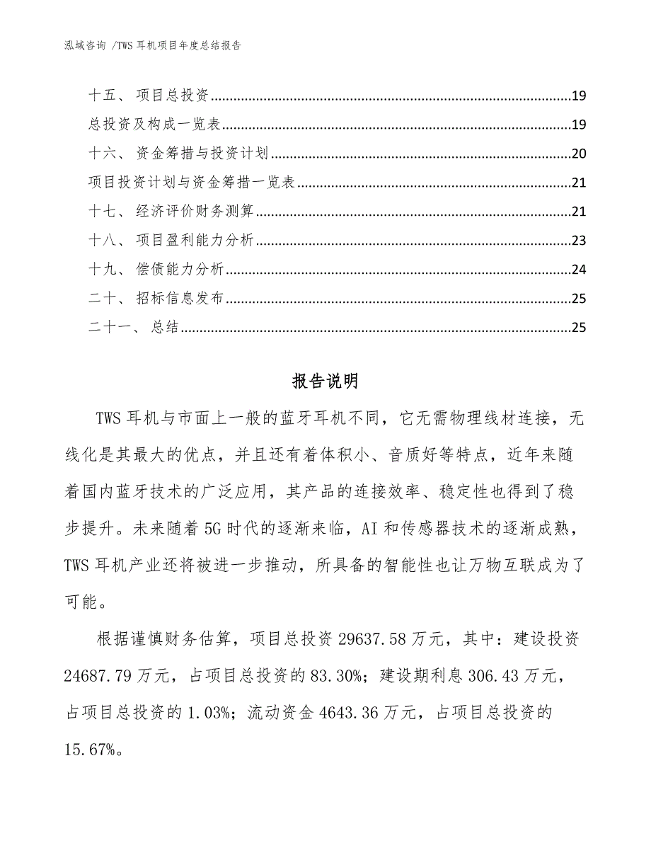 TWS耳机项目年度总结报告（模板）_第2页